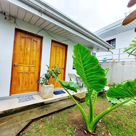 Beyond Island Hotel Moalboal Room photo